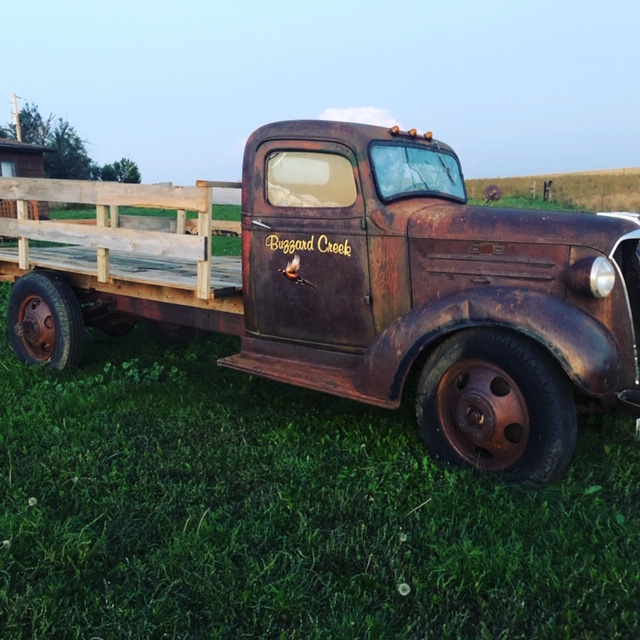 Pheasant hunting in Philip, South Dakota